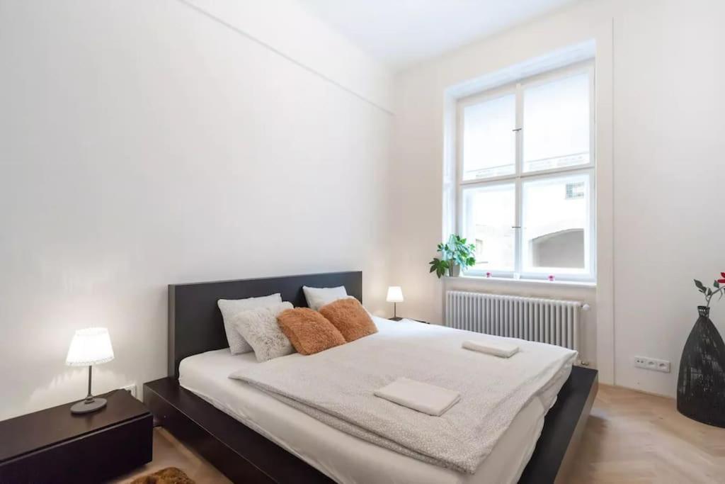 Luxury Apartment On Old Town Square プラハ エクステリア 写真